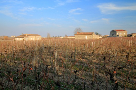 Randonnée à Saint-Emilion Randonnée à Saint-Emilion