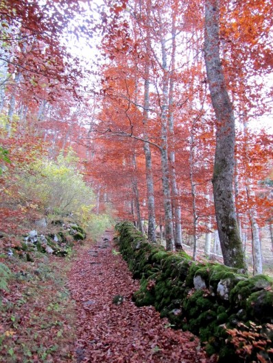 La Voie Romaine de Saint Ch�ly d'Aubrac