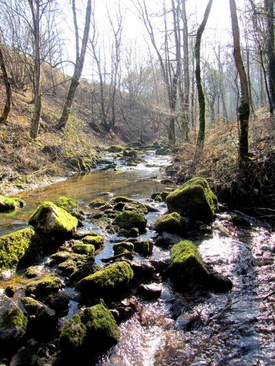 Balade au Domaine de Combelles, pr�s de Rodez en randonn�e