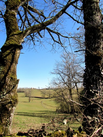 Balade pr�s de Rodez, en Aveyron, de Fontanges au parc de Vabre