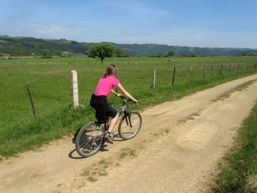 VTT dans le Puy de Dme