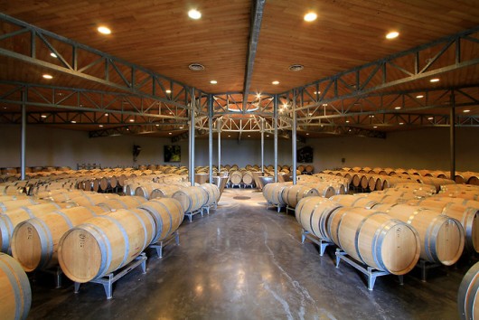 Randonnée et oenotourisme à Saint-Emilion en Gironde Randonnée et oenotourisme à Saint-Emilion en Gironde