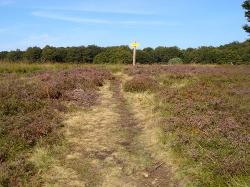 Sentier Botanique au d�part du Bouyssou