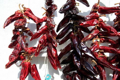 Terroir Basque et nombreuses découvertes Terroir Basque et nombreuses découvertes