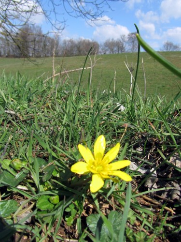 Aveyron : Randonn�es familiales en Carladez