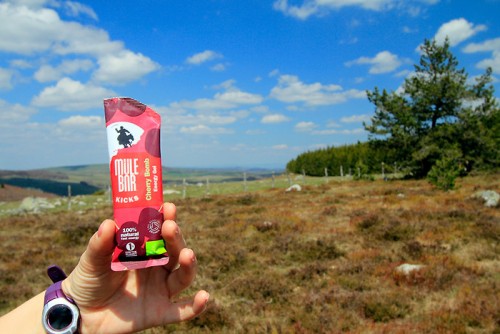 Mulebar Test des gels Mulebar