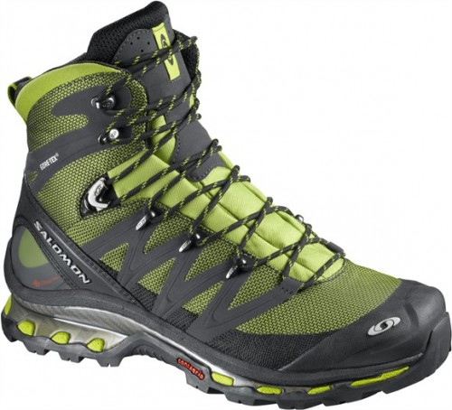 Salomon Cosmic 4D GTX