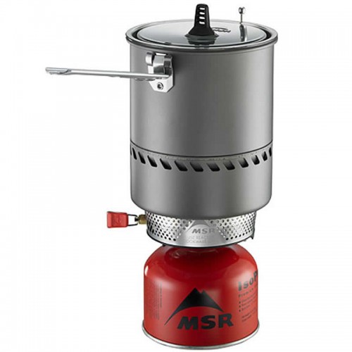 MSR Reactor
