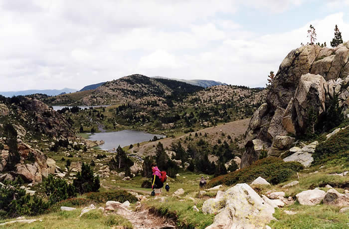 Etang Le Balleil Etang Le Balleil