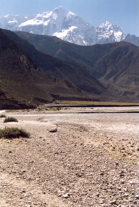 Le Nilgiri