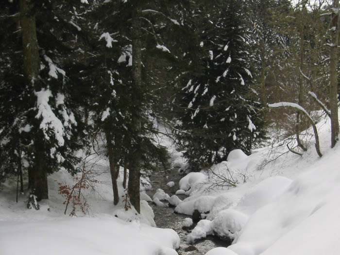 Rivire sous la neige