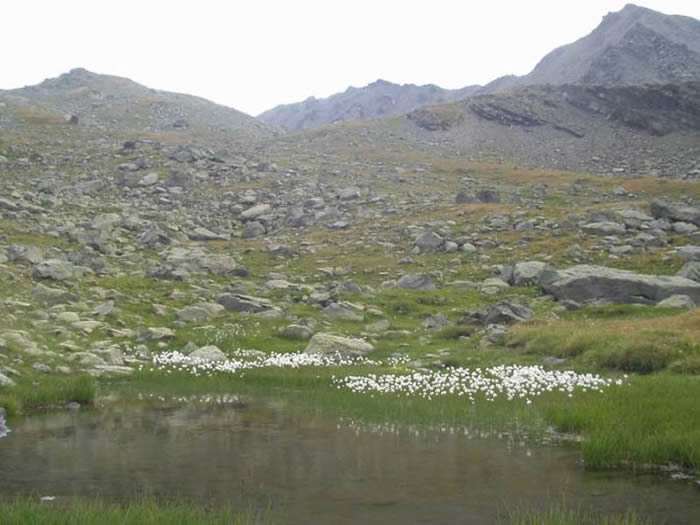 VERS LE LAC DES MUANDES