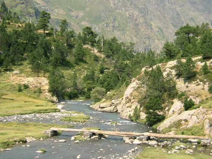 en bas du refuge en bas du refuge