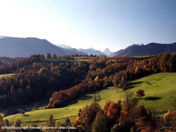 Automne en vallée d'Ossau. Automne en vallée d'Ossau.