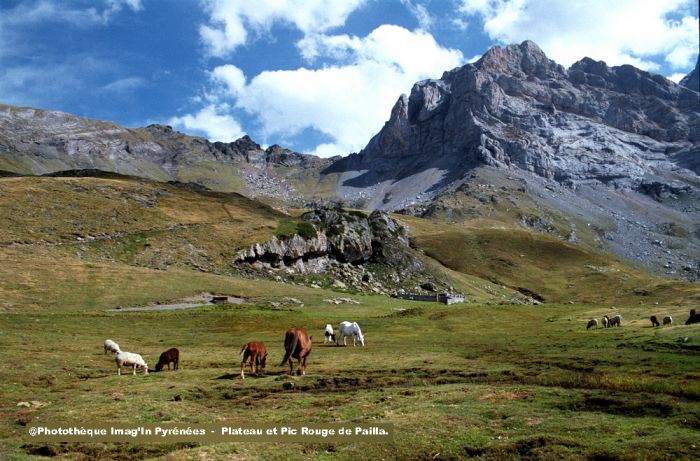 Plateau et Pic Rouge de Pailla