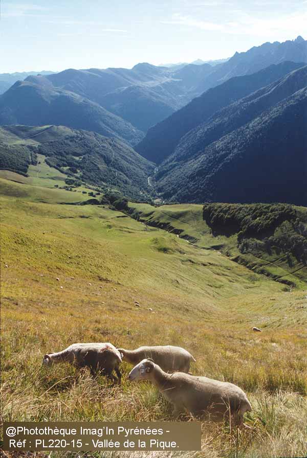 Valle de la Pique depuis la monte au Ccir.