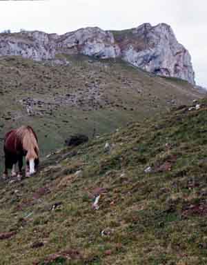 Casque du Lhris
