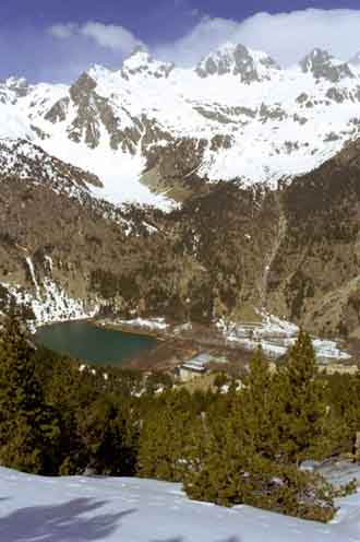 Garmo Negro