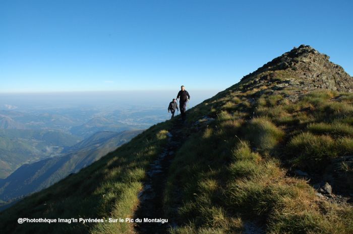 Le Montaigu