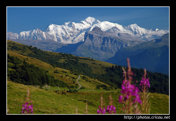 Mont blanc vu du col de Joux Plane