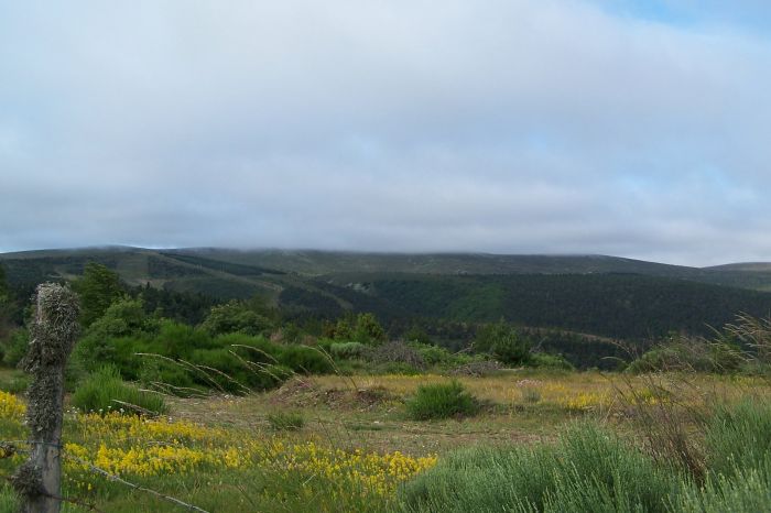 sommet du mont Lozere dans la brume