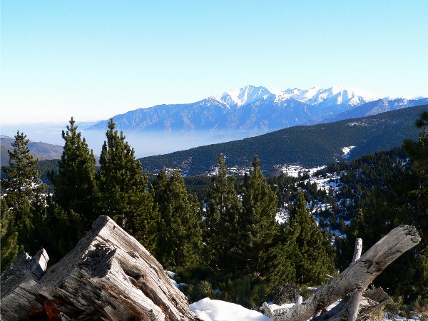 Le Canigou depuis les pistes de la Llose