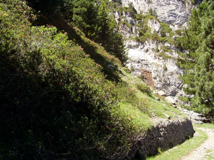 Pgure