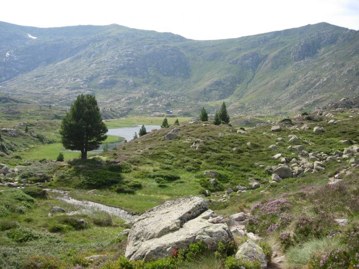 Refuge de Bassis
