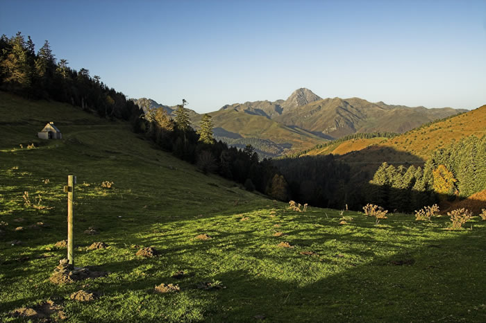 Col d'Aspin