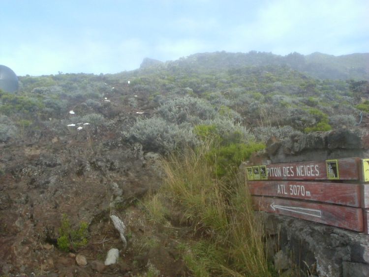 Piton des Neiges