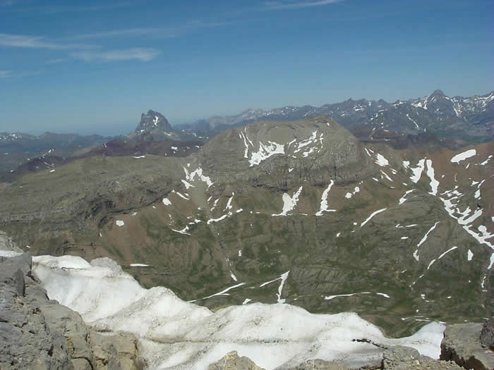Pena Collarada Pena Collarada