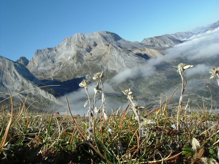 Pic de la Latte de Bazen