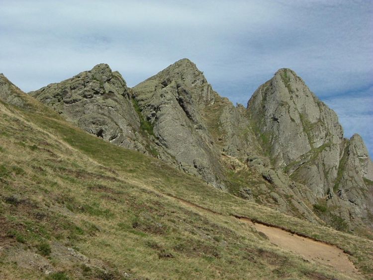 Iraukotuturru
