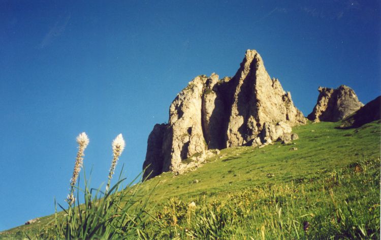 Le Lauriolle