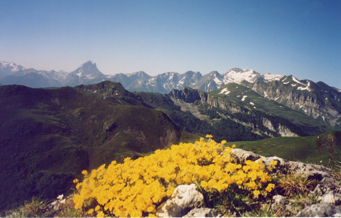 Le Lauriolle