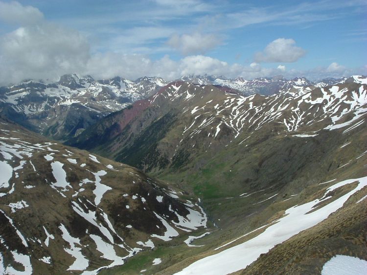 Cuyalaret