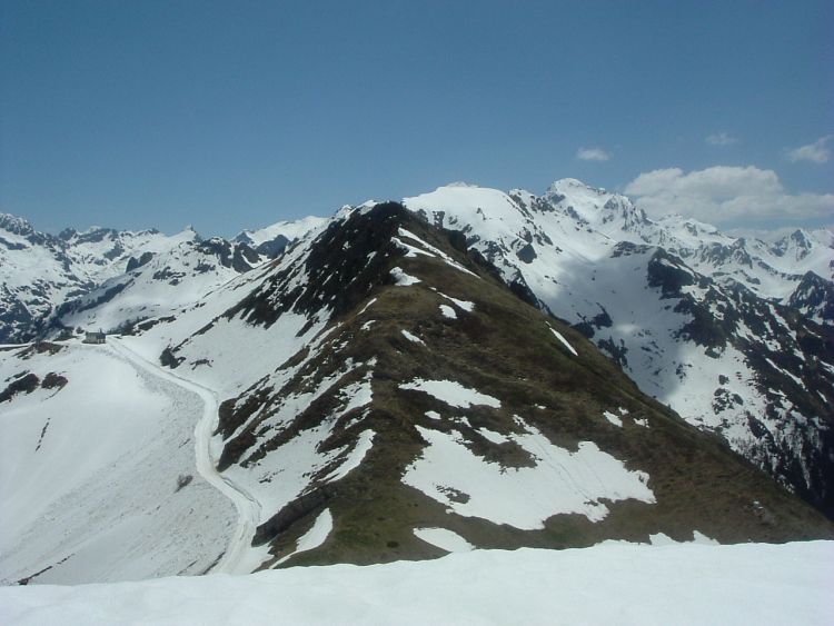 Herrana