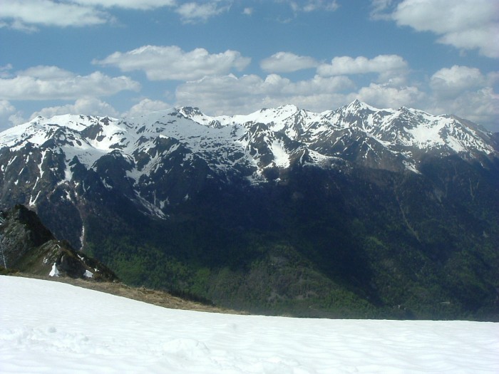 Herrana