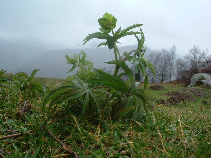 Crête de Lazerque Crête de Lazerque