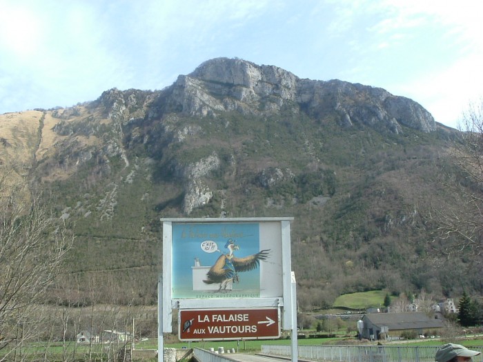Pne de Bon