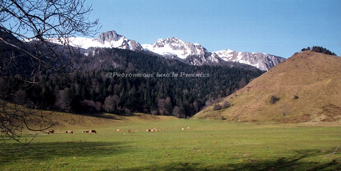 Au plateau de la Tcoure