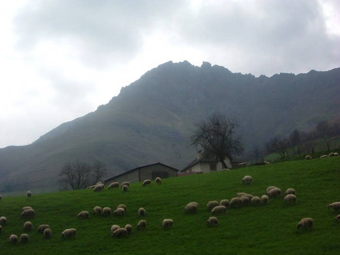 Pic Mail Arrouy