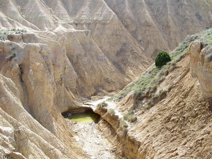 Il y a aussi de l'eau dans le dsert des Bardenas Reales