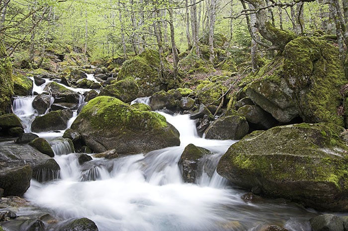 Gave de Cestrde et ses nombreuses cascades