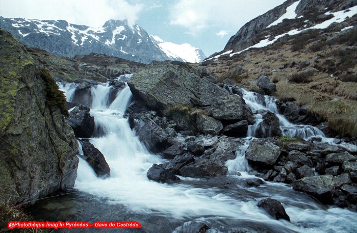 Photo du gave de Cestrde