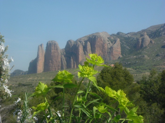 Mallos de Riglos