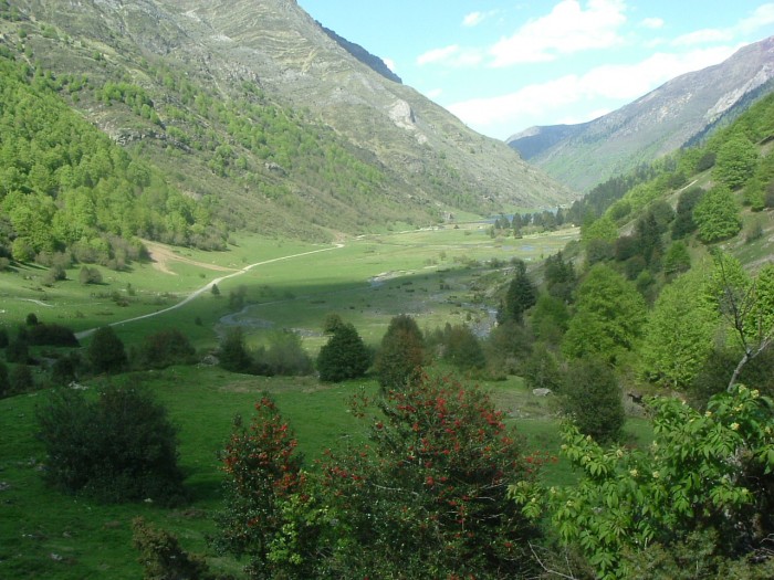 Lac d'Estaing