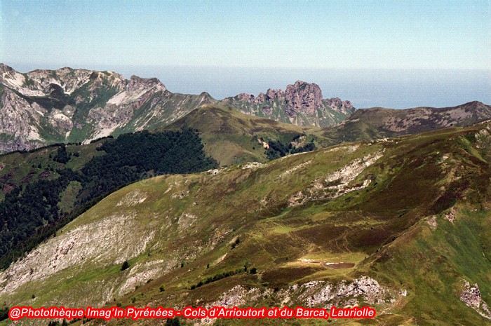 Lauriolle