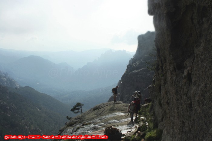 CORSE - Aiguilles de Bavella