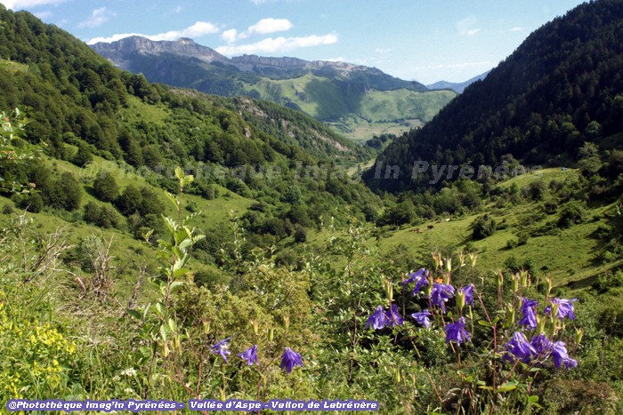 Vallon de Labrnre